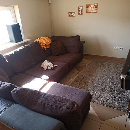 Vilnius Cat Friendly Διαμέρισμα Εξωτερικό φωτογραφία